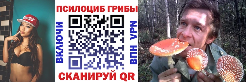 магазин продажи mega вход Галлюциногенные грибы прущие грибы Кубинка